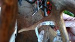 IMG_20161127_090627652.jpg