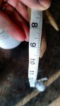 IMG_20161127_093536951.jpg
