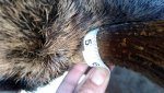 IMG_20161127_091255216.jpg