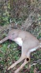 IMG_20161127_164605411.jpg