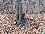 Deerhunting2016_10.jpg