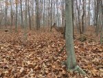 Deerhunting2016_9.jpg