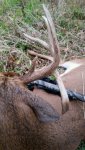 20161204_084535.jpg