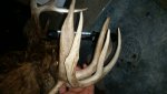 20161205_204523.jpg