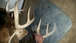20161205_204814.jpg