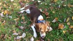 20161102_103125.jpg