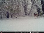 IMG_4853.JPG
