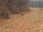 Deerhunting2016_18.jpg