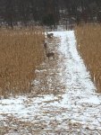 IMG_4985.jpg