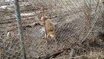 IMG_20170102_101130995.jpg