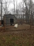 IMG_1044.jpg