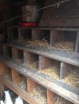 IMG_1047.jpg