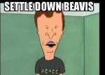 settledown.jpg