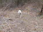 IMG_0029.JPG