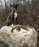1-31-17 large.jpg