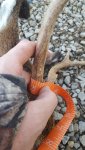 20170205_170734.jpg