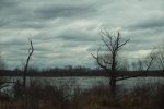 DSCF3097v2.jpg