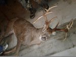 20161130_184756.jpg