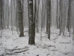 PB160571.jpg