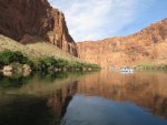 IMG_1174.jpg
