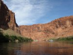IMG_1780.jpg