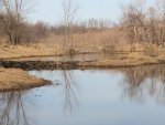 IMG_5383.JPG