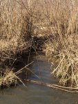 IMG_5412.jpg
