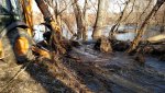 IMG_20170202_094234463.jpg
