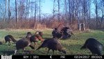 HUNT0031.jpg