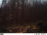 IMG_3834.jpg
