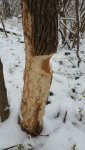 20170304_111557.jpg