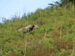 IMG_3468.jpg