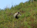IMG_3469.jpg
