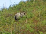 IMG_3470.jpg