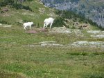 IMG_3867.jpg