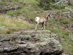 IMG_3773.jpg