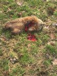 IMG_2172.jpg