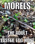 FB_IMG_1491608896395.jpg