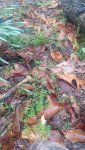 IMG_20170406_183819844.jpg