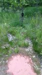 cam1.jpg