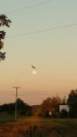 IMG_20170608_204456301.jpg