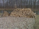 firewood pic 2.jpg