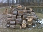 firewood pic 1.jpg
