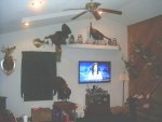Deer room3.jpg