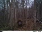 April 9 2011 Tom strutting0001.jpg