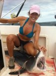 shark crotch.jpg
