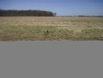 IMG00293-20120311-1248.jpg