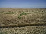 IMG00295-20120311-1252.jpg
