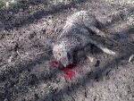 IMG00305-20120313-1512.jpg