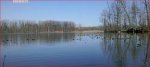 Crappie_2.jpg